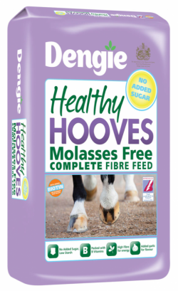 Dengie HEALTHY HOOVES Molasses Free